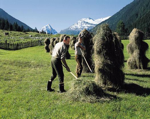 Appartamento Temelerhof Gries im Sellrain Esterno foto